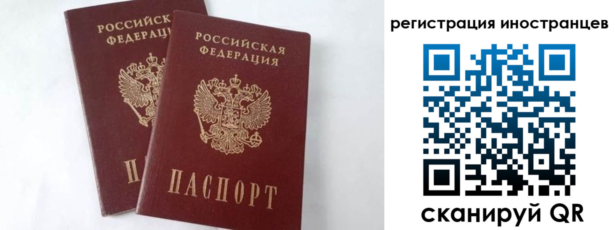 регистрация для школы в Ярославле